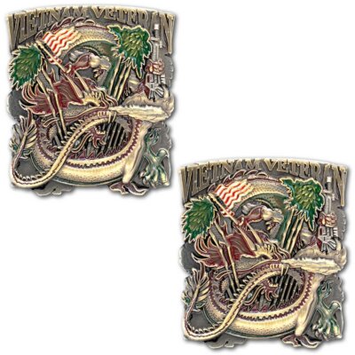 Vietnam Veteran Military Coin