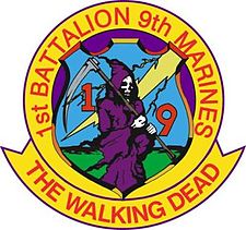 Walking Dead 1st Battalion 9th Marines